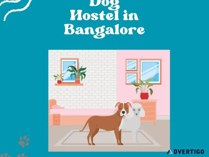 Dog Hostel and Pet Boarding Service in Bangalore