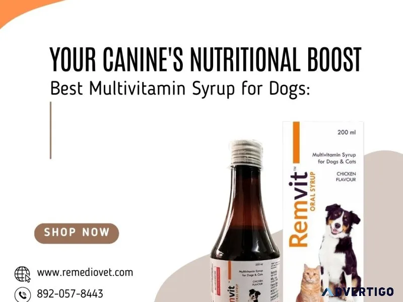 Multivitamin for dogs: tail-wagging wellness in a bottle