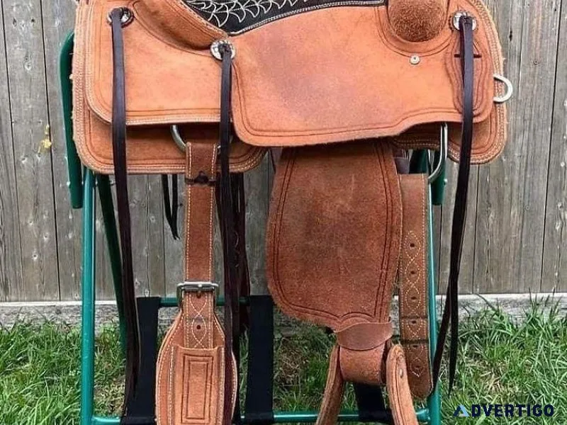 Hills horse for sale