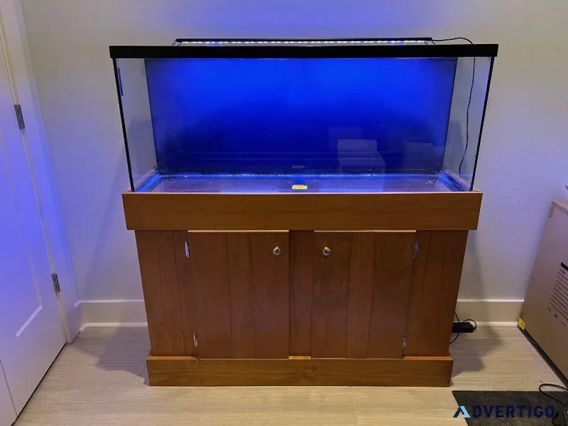 55 gal aquarium stand and lighting