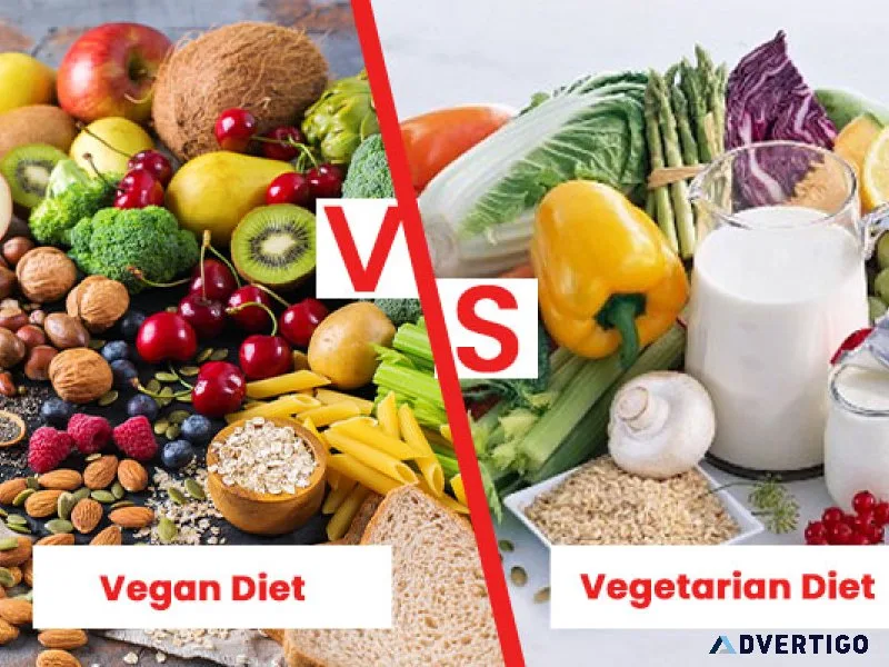 Different between vegan and vegetarian chart