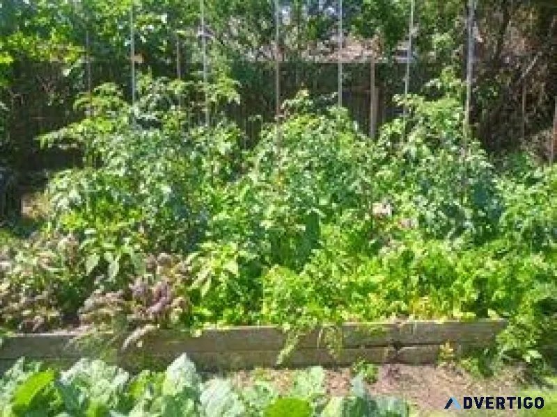 Real Organic Food From Your Own Living Soil Beds and Boats