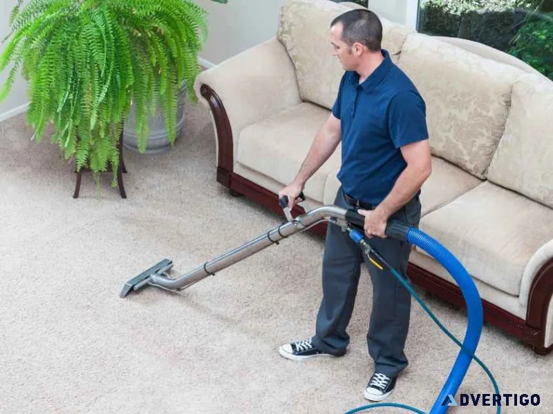 Professional carpet cleaning service - innovative laundry basket