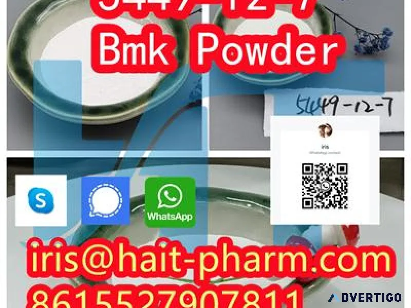 BMK Glycidic Acid 99% powder CAS 5449-12-7 china supplier