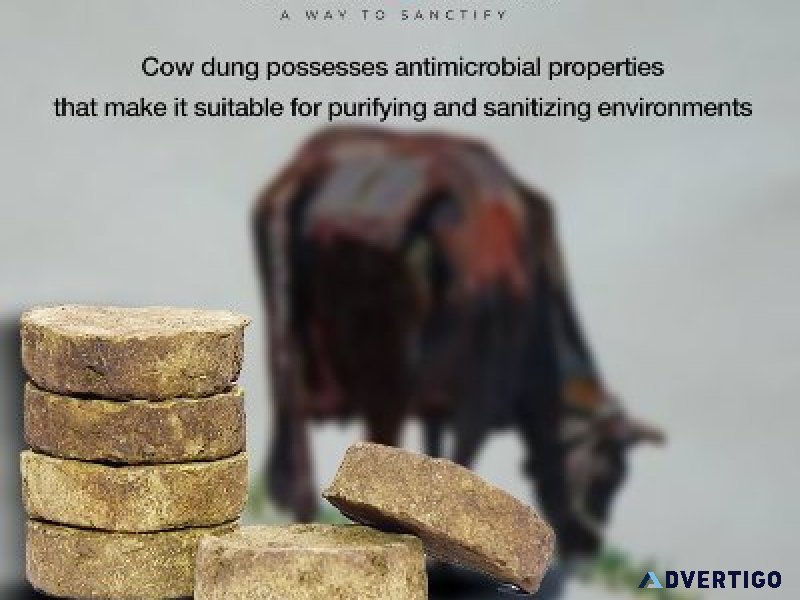 Zempark 100 cow dung