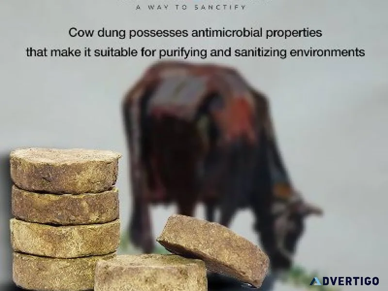 Zempark 100 cow dung
