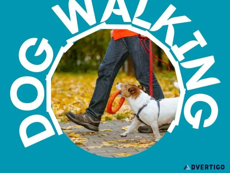 Dog Walking Service in Delhi NCR