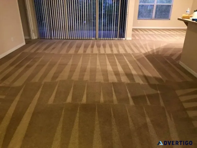 Your trusted carpet cleaning professionals in lehigh acres
