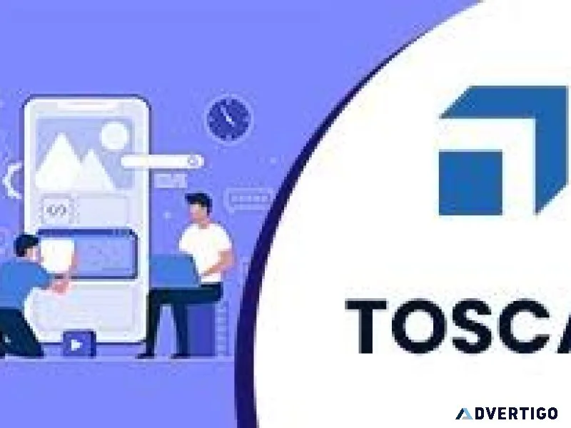 Enhance your career with our tosca training