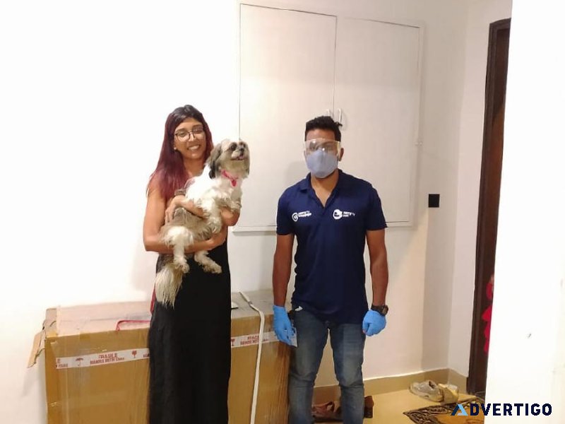 Pet Transport Service in India