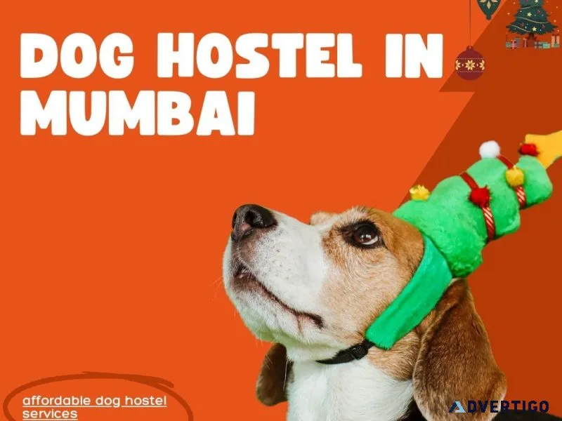Dog Hostel and Pet Boarding Service in Mumbai