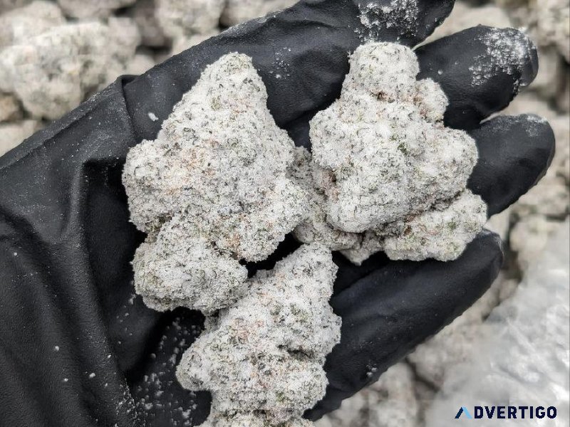 DC Gas Disposables