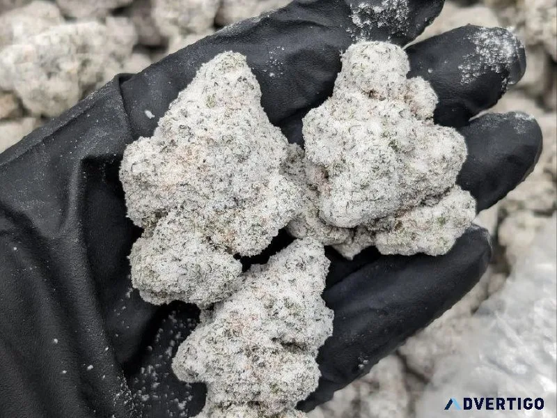 DC Gas Disposables