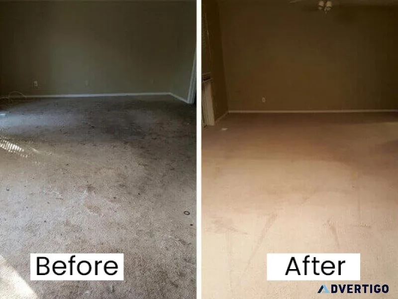 Exceptional Carpet Cleaning Services in Vancouver WA