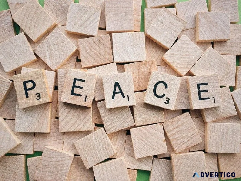 No Peace No Purpose