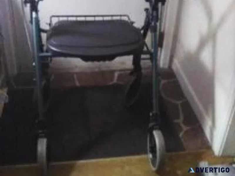 SEATED WALKER 50