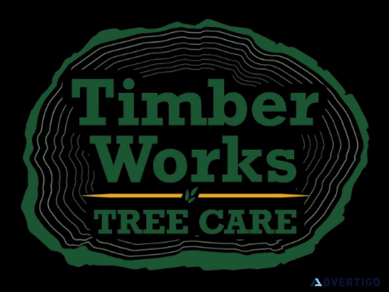 Tree Service