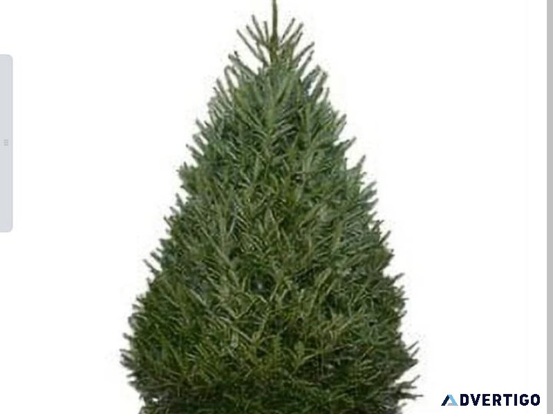 Brand new Christmas tree 6 ft 6 in include stand