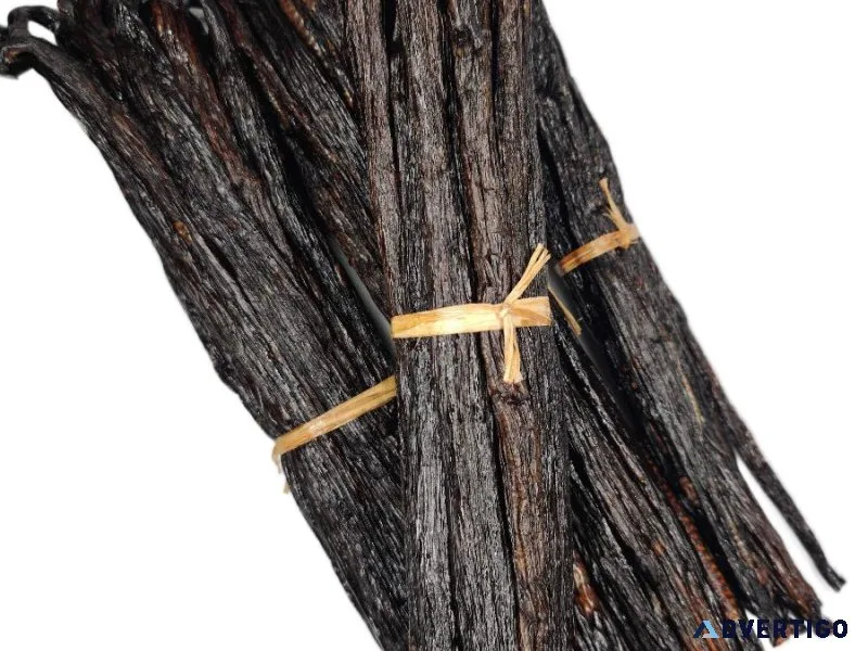 Madagascar Gourmet (Pompona) Mexican Cure Grade-A Vanilla Beans