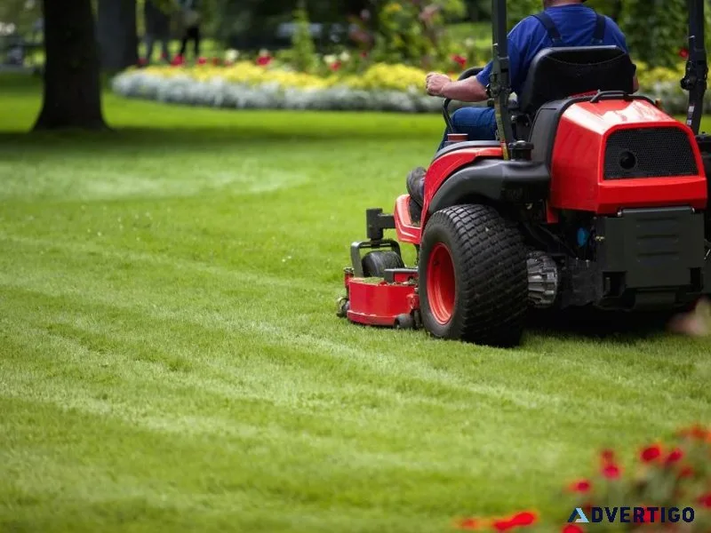 Lawn Renovation Service and Yard Clean Up - TM Lawn Cares