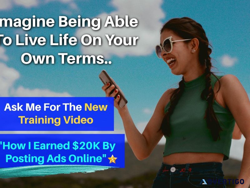 Daily Pay Dynasty Building Wealth in the Online Realm