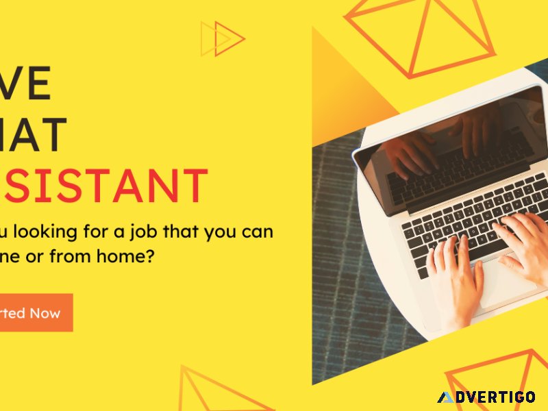 220day - Shopify Assistant Job