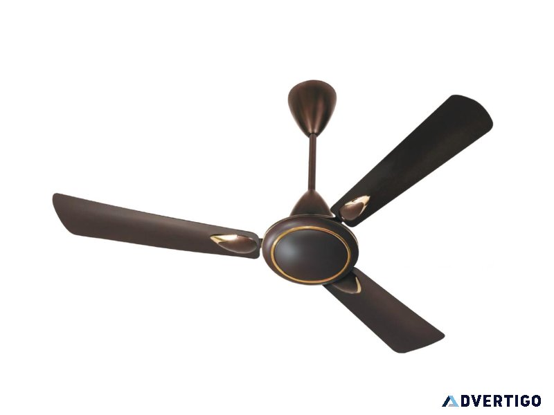 Ceiling fans