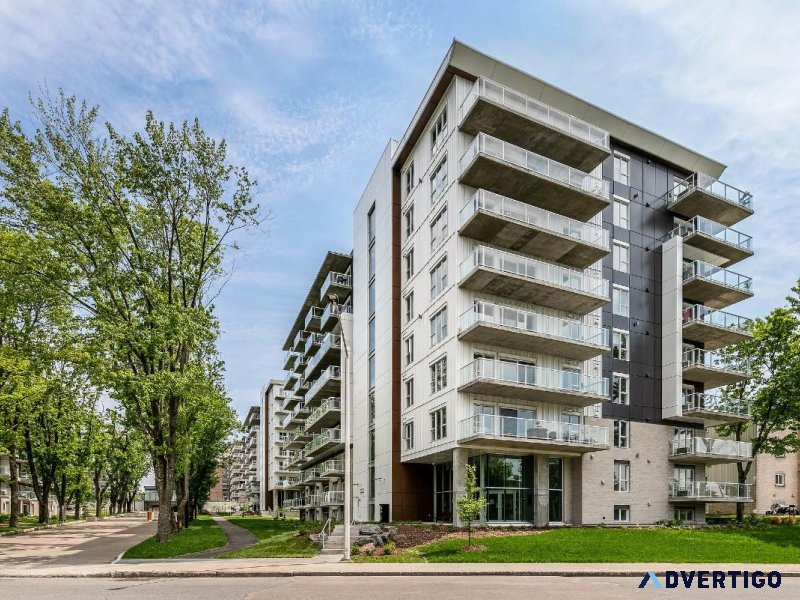 Complexe La Suite - Condo 1 chambre ouverte JUILLET 2024