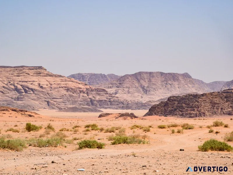 One day tour in al wahiba desert