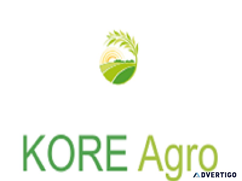 Spices exporter from india kore agro international