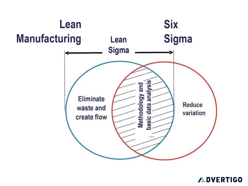 Lean six sigma consultancy in india