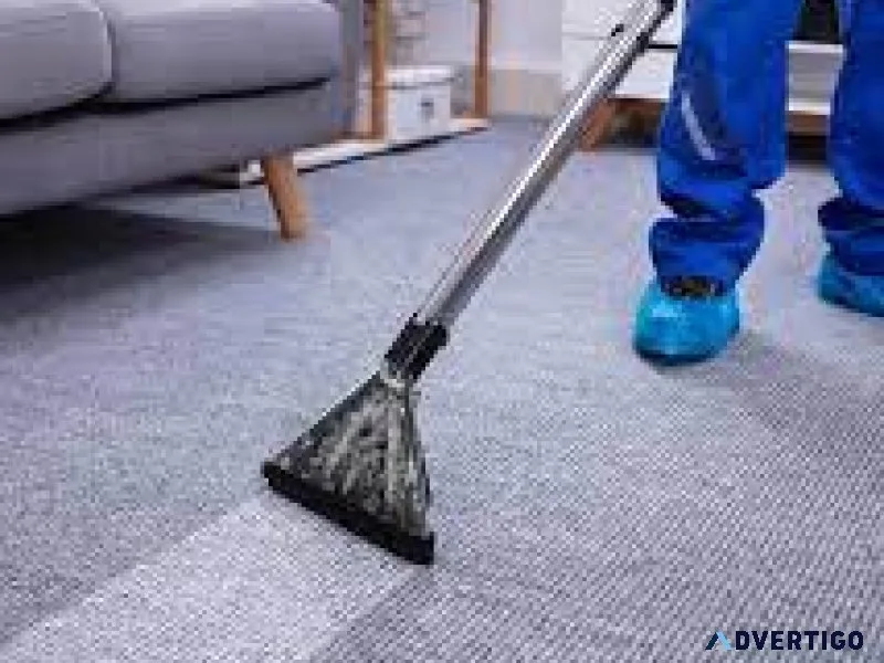 Seo for carpet cleaners: a comprehensive guide