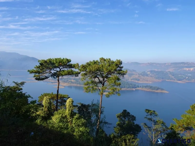 Discover paradise: best meghalaya tour packages await
