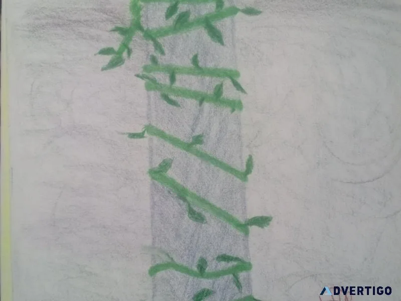 Pillar and Vine