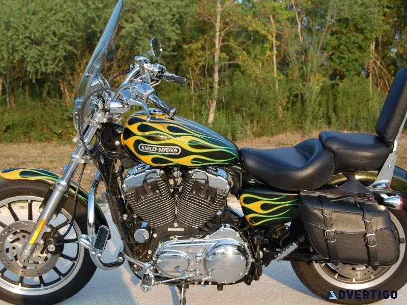 2006 Harley-Davidson Sportster 1200 Low