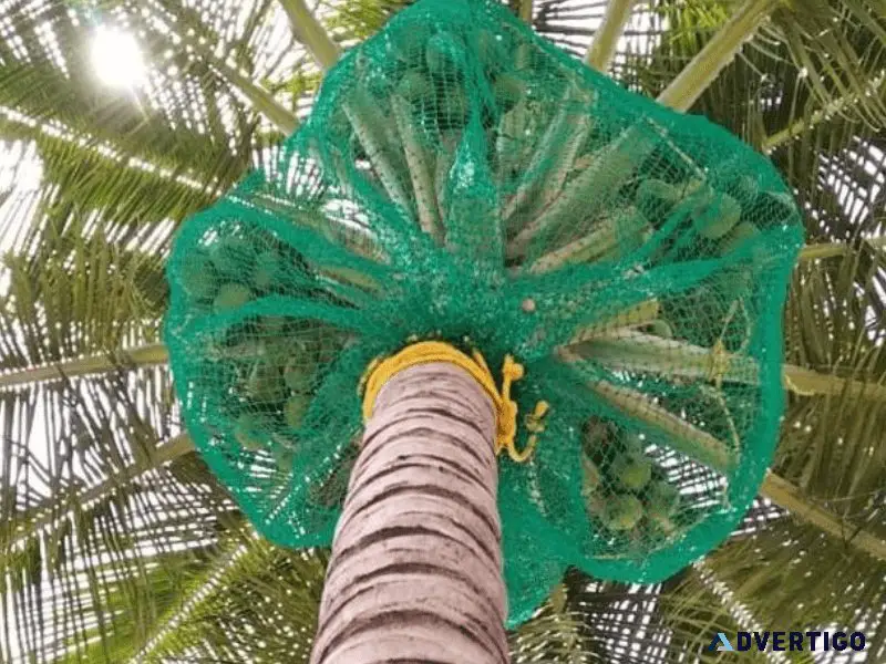 Coconut tree net