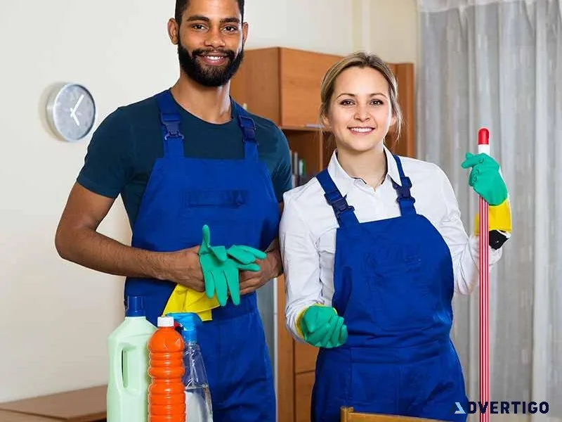 Clening Job NY par hours 50 usd
