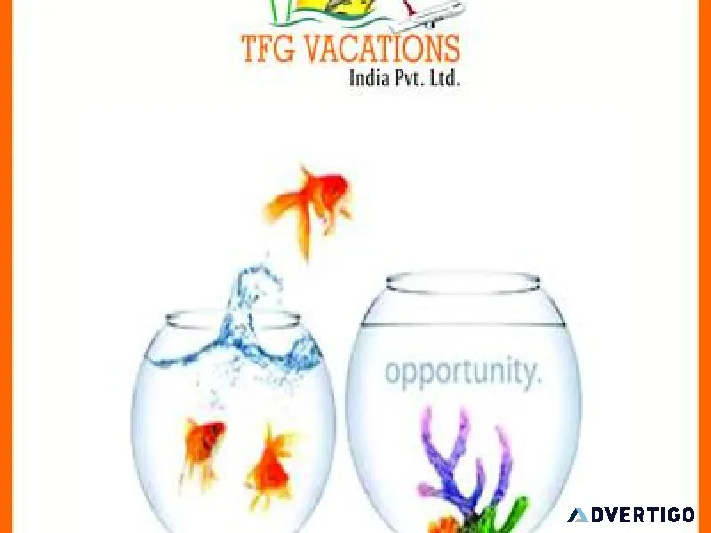 ONLINE PROMOTION JOB