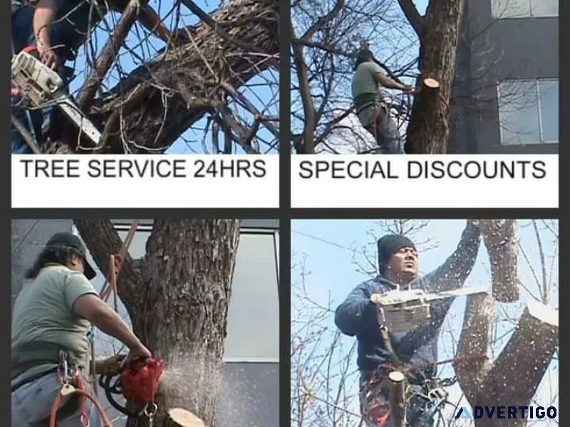 FAMILY TREE SERVICE