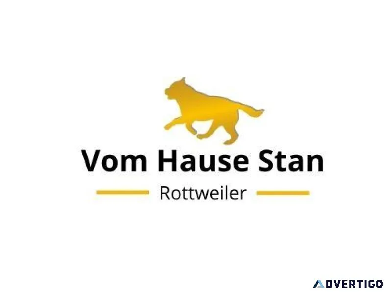 Best Rottweiler Puppies for sale in Washington
