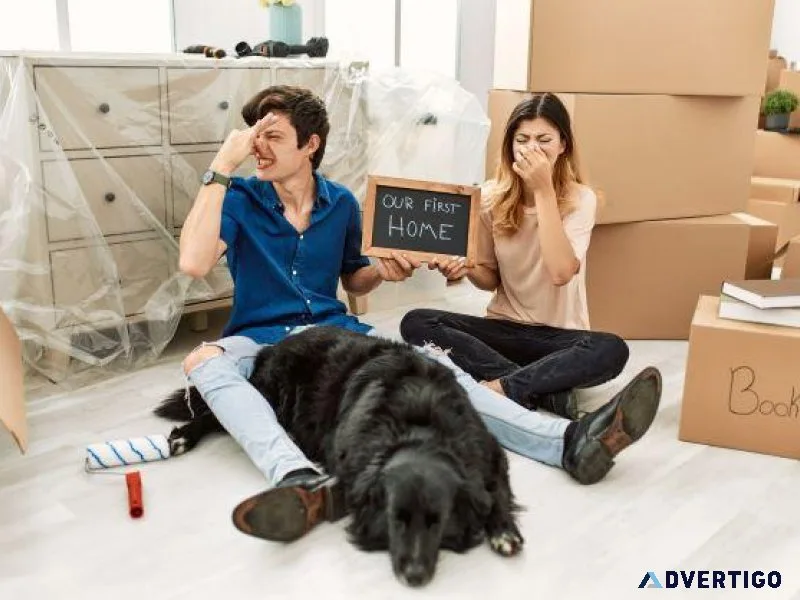 Stop The Stink From Pet Farts