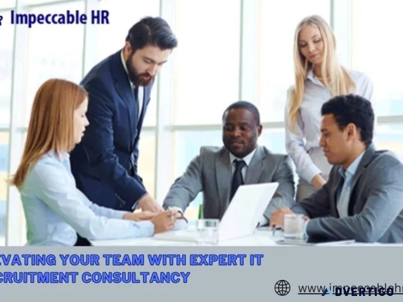 Elevating Your Team with Expert IT Recruitment Consultancy