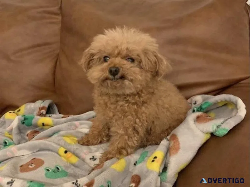 Benny
