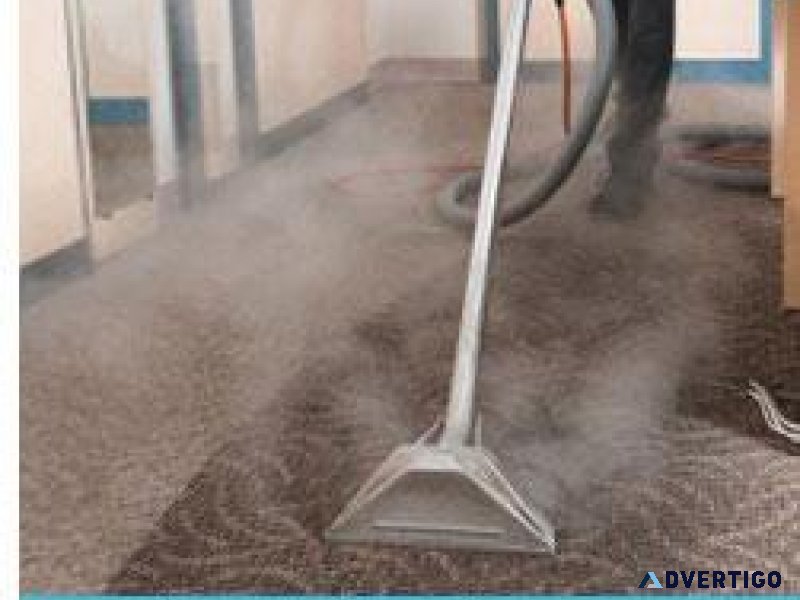 Carpet Cleaning Friendswood Texas