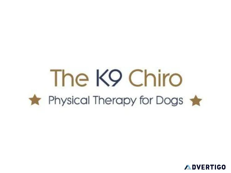 Veterinary Chiropractor for Dogs in Harrogate
