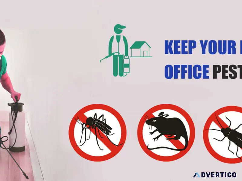 Pest control service in gurgaon
