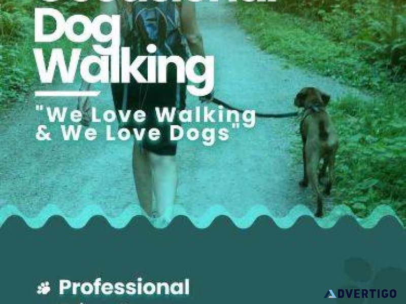 Book Best Dog Walking Service In Bangalore at Affordable Price