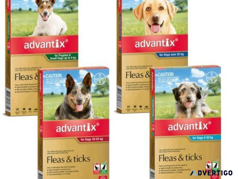 ADVANTIX for Dogs All Sizes Flea and Tick Treatment 6 Pipettes
