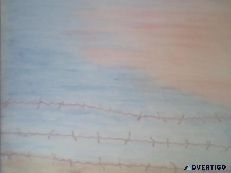 Barbed Wire and the Sky