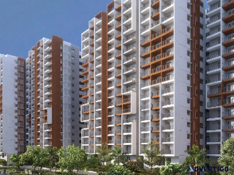 3bhk apartments